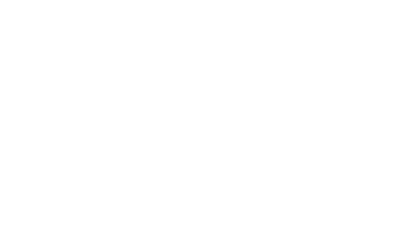 Hotel Investors
