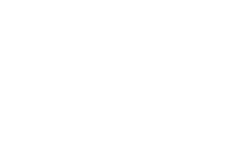 Wellness Retreats